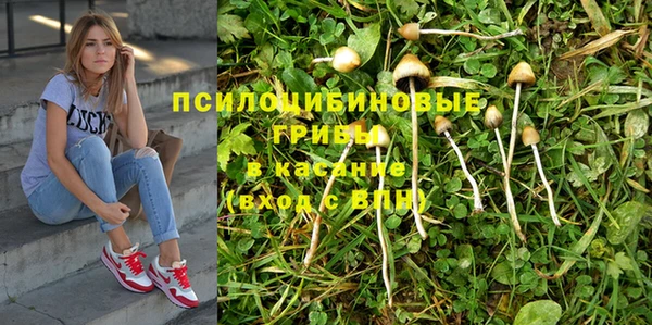 гашик Белоозёрский