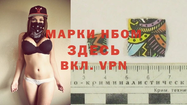 гашик Белоозёрский