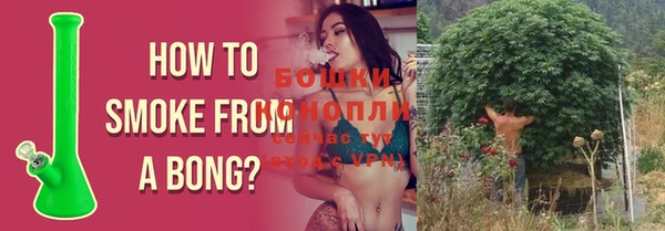гашик Белоозёрский
