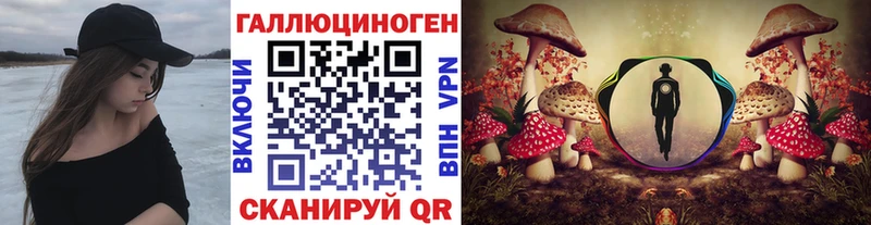 дарнет шоп  Кочубеевское  Галлюциногенные грибы MAGIC MUSHROOMS 